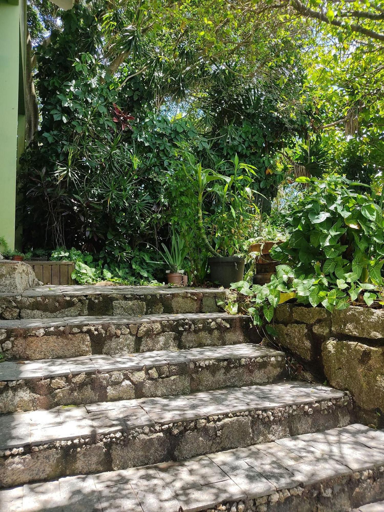 Samauma Floripa Aluguel De Quartos Florianópolis Extérieur photo